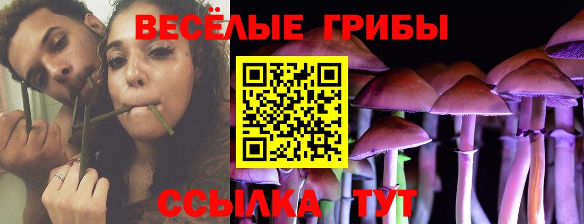 Балтийск  Псилоцибиновые грибы Magic Shrooms  Псилоцибиновые грибы мицелий  где можно купить наркотик  Вход с VPN 